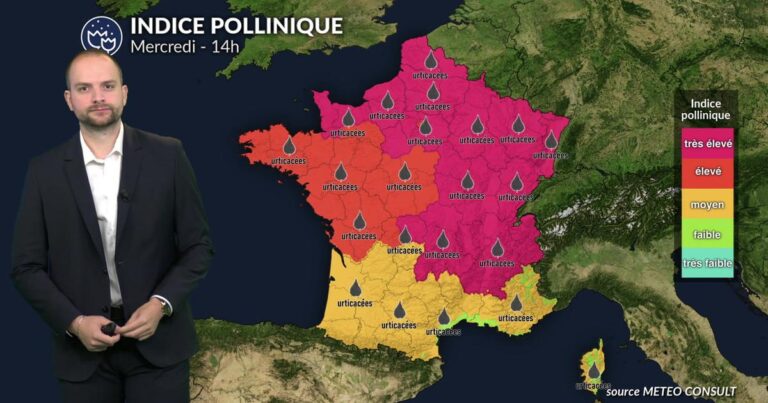 Pollens et allergies : risque très élevé en France avec le pic de chaleur actuel
