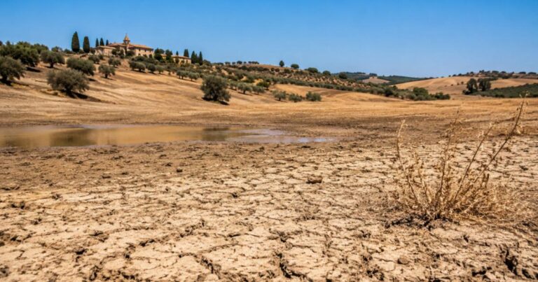 Sécheresse persistante en France malgré le retour des orages.