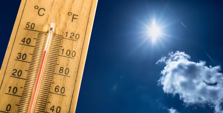 Canicule : les hôpitaux s’inquiètent des conséquences sur les soins aux patients