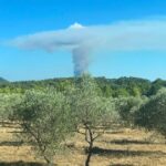 Incendie dans le Var : les pompiers restent optimistes malgré la situation non maîtrisée.