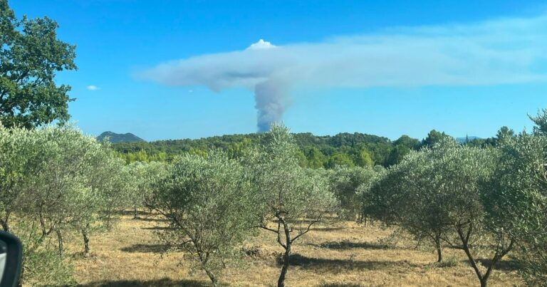Incendie dans le Var : les pompiers restent optimistes malgré la situation non maîtrisée.