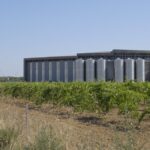 Cave d’Héraclès à Codognan : début des vendanges dans le Gard