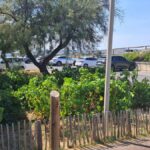 Des vignes en bord de mer : une initiative viticole dans le secteur maritime français.
