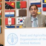 Augmentation de 250 % de la productivité agricole au Brésil en cinquante ans