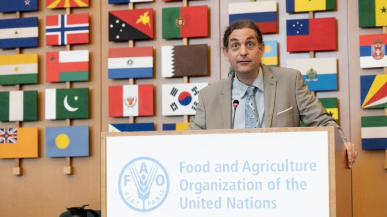 Augmentation de 250 % de la productivité agricole au Brésil en cinquante ans