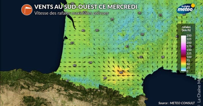 Incendies sous surveillance : amélioration attendue pour les régions affectées
