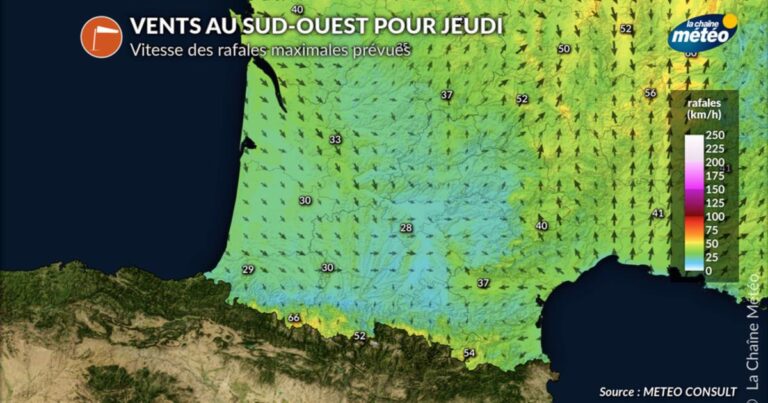 Incendies en Gironde : reprise maîtrisée des opérations avant un rafraîchissement climatique