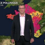 Baisse des températures et orages : amélioration des pollens et allergies en France