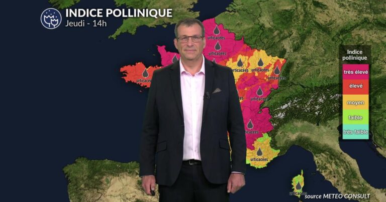 Baisse des températures et orages : amélioration des pollens et allergies en France