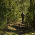 Trois exercices pour cultiver l’émerveillement en pleine nature, selon des experts en bien-être.