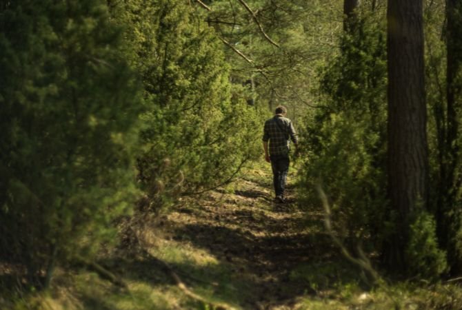 Trois exercices pour cultiver l’émerveillement en pleine nature, selon des experts en bien-être.