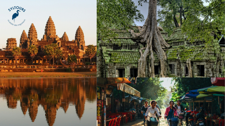 Découverte des sites historiques et culturels du Cambodge, joyau d’Asie du Sud-Est.