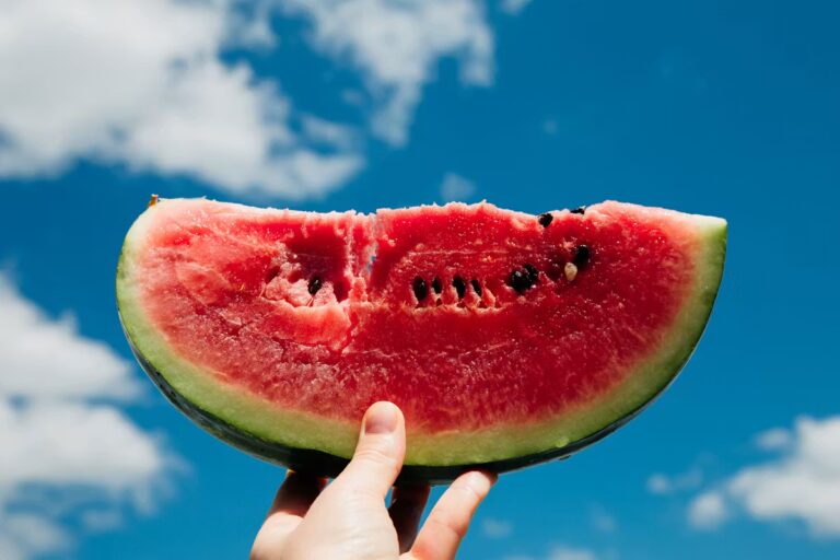 Surveillance de la consommation de pastèque recommandée par des nutritionnistes pour éviter des risques sanitaires.