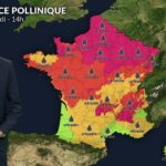 Orages et chaleur : pic d&rsquo;indice pollinique pour les urticacées ce vendredi.