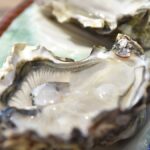 Fête de l’huître à Mèze : soirée festive et gourmande prévue pour les visiteurs.