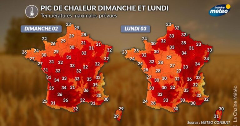 Vague de chaleur : un nouveau pic attendu lundi dans plusieurs régions.