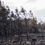 Incendies en Gironde : mobilisation totale face à un mégafeu de 42 000 hectares contenu