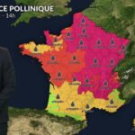 Pollens et allergies : risque allergique réduit, mais vigilance face aux irritants en suspension.