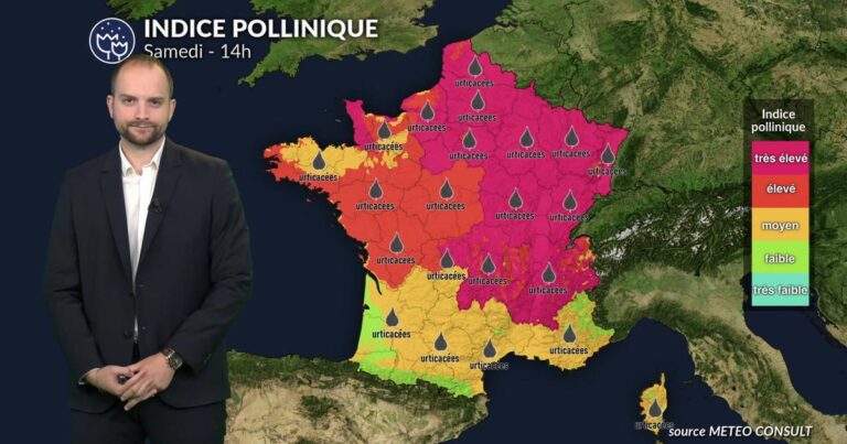 Pollens et allergies : risque allergique réduit, mais vigilance face aux irritants en suspension.