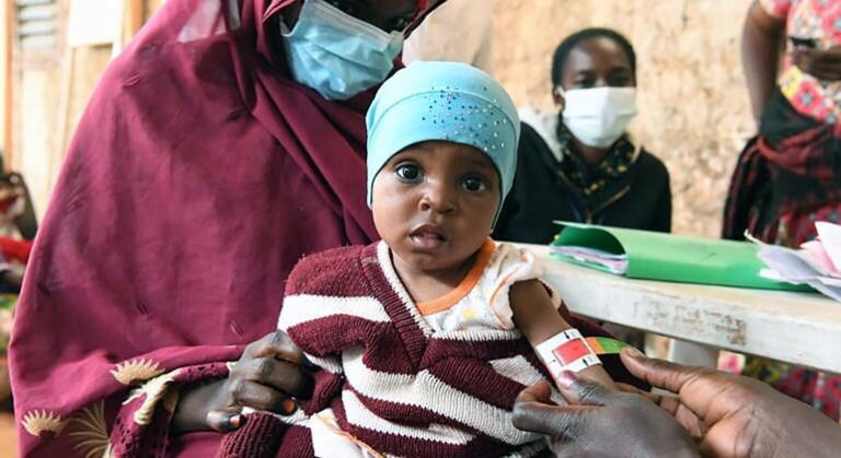 L’ONU alerte sur une crise alimentaire imminente en Afrique de l’Ouest et du Centre.
