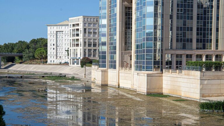 Montpellier interdit la baignade et les activités nautiques sur le Lez en raison de prolifération d’algues.