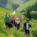 Guerre des croix : exploration des sites historiques en montagne et de leurs enjeux.