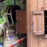 Sébastien, alias DD Frelons, traque les insectes envahissants dans les maisons.