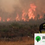 Incendies en France : les forêts brûlées exacerbent le dérèglement climatique.