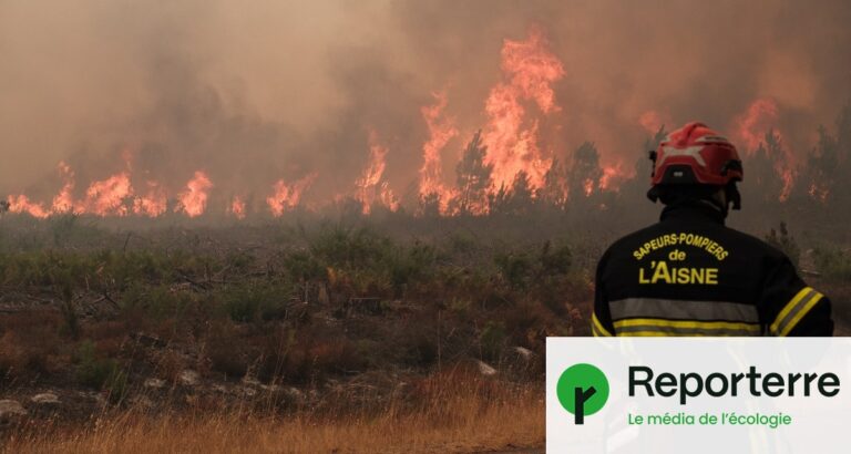 Incendies en France : les forêts brûlées exacerbent le dérèglement climatique.