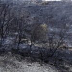 Feux de forêts : la France renforce les moyens des sapeurs-pompiers pour mieux intervenir.