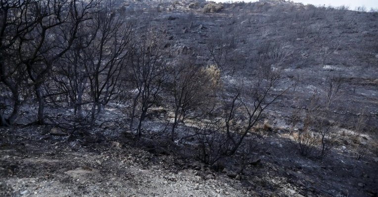 Feux de forêts : la France renforce les moyens des sapeurs-pompiers pour mieux intervenir.
