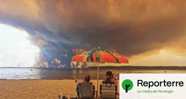 La France face à des incendies : échec des politiques néolibérales en matière de prévention.