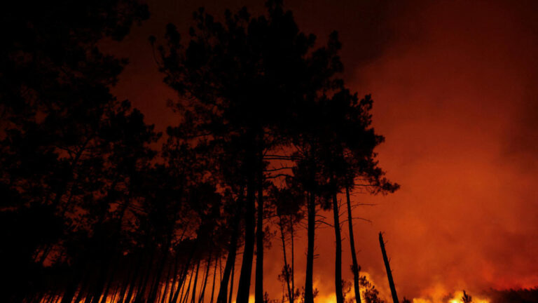 Incendies en Gironde : Bercy active une cellule de crise économique pour les sinistrés