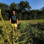 Cacahuètes, pop-corn et betteraves : nouvelles cultures émergent en Sud Charente.
