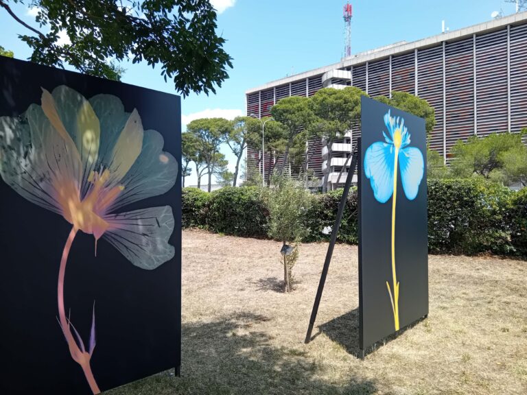 Les Rencontres d’Arles proposent une photo-thérapie accessible à l’hôpital d’Arles.