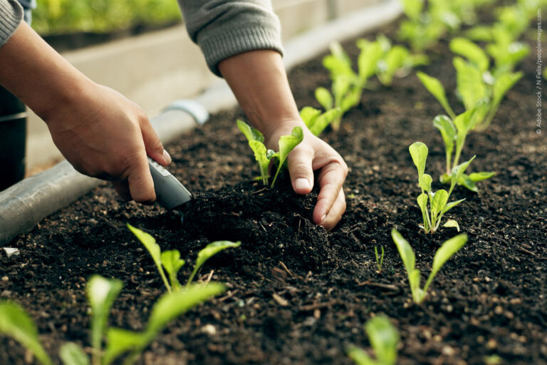 Prix des engrais : le Parlement adopte des aides pour soutenir les agriculteurs.