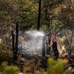 Climat : le gouvernement français annonce des moyens importants pour adapter les forêts.