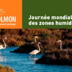 Journée mondiale des zones humides : Bolmon met en avant la préservation des écosystèmes aquatiques