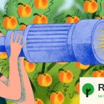 « Les dirigeants politiques face à l’empathie : une métaphore jardinière »