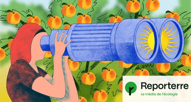 Les jardiniers contraints d’anticiper la canicule pour préserver leurs cultures.