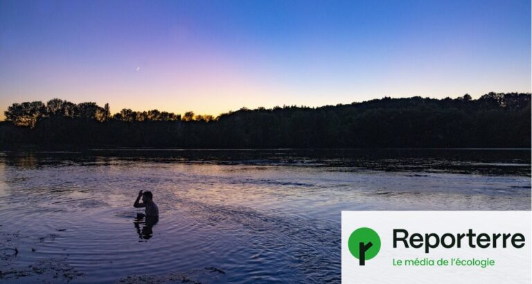 Les rivières en France : des écosystèmes essentiels menacés par la pollution.