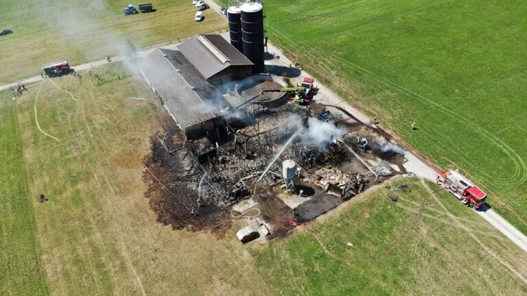 Incendie à St-Gall : Le bétail échappe à la destruction dans une ferme touchée