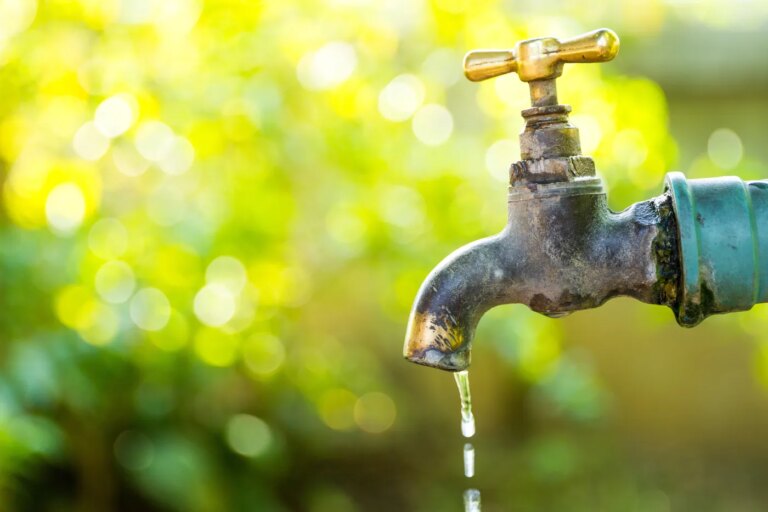 Sécheresse en France : l’accès à l’eau potable menacé après les canicules.
