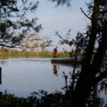 La LPO et WWF deviennent propriétaires d&rsquo;un marais pour sa protection écologique.