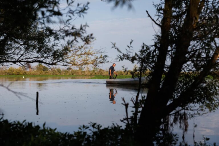 La LPO et WWF deviennent propriétaires d’un marais pour sa protection écologique.