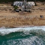 Présence de PFAS dans les eaux de baignade : des risques pour la santé publique identifiés.