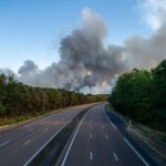 Feu de forêt à Fontainebleau : conséquences sur l’ancien terrain de chasse royal.