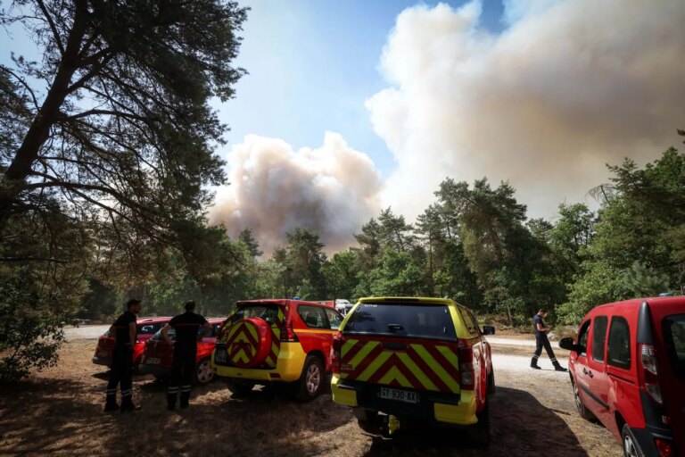 Incendie à Fontainebleau : des habitants interviennent pour maîtriser les flammes en forêt