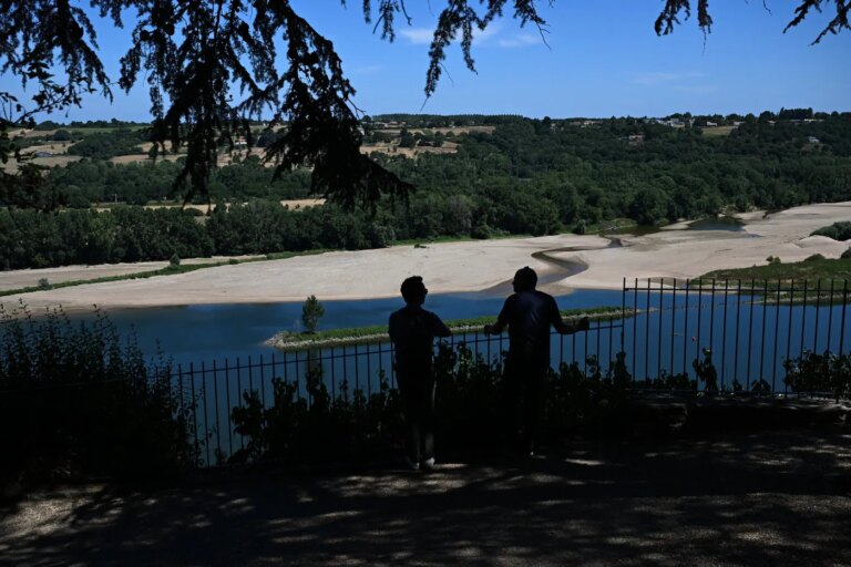Canicule : la Loire près de Nantes atteint des températures critiques sous surveillance