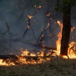 Incendies : appel à une responsabilité collective pour la culture du feu en France